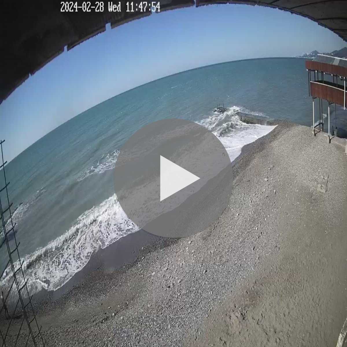 Adler webcam