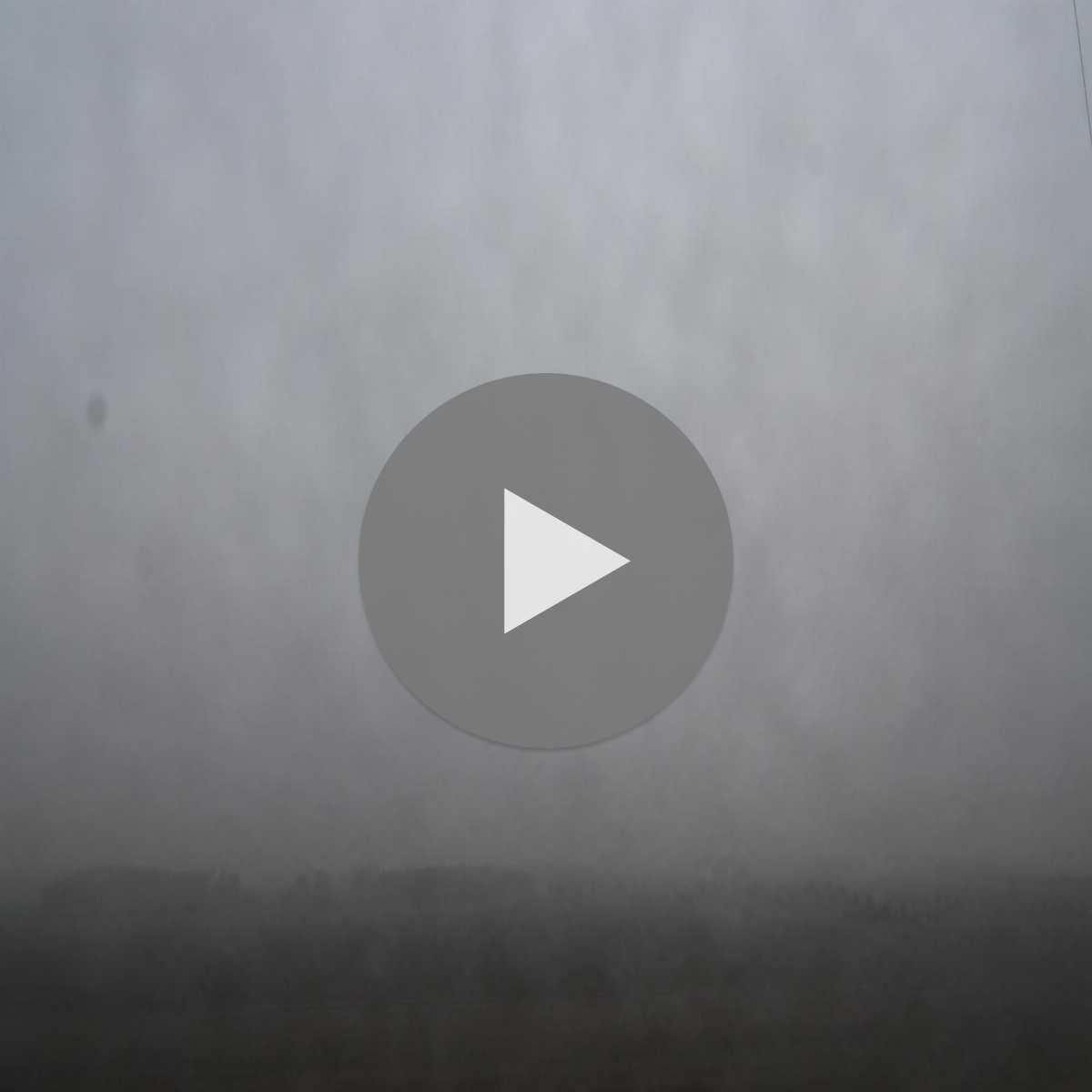 Kienitz Nord webcam
