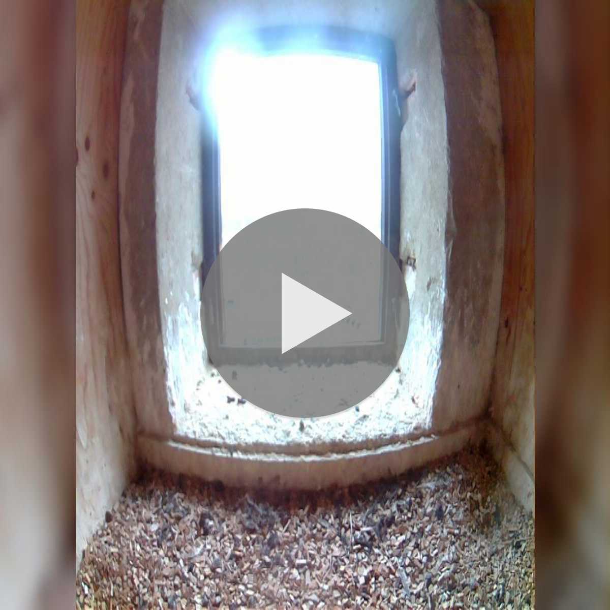 Leidersbach webcam