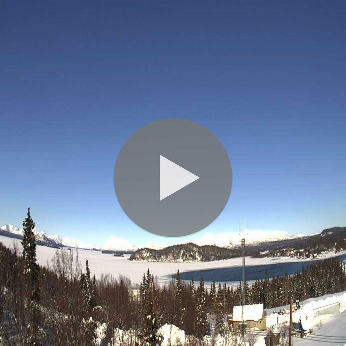 Homer webcam