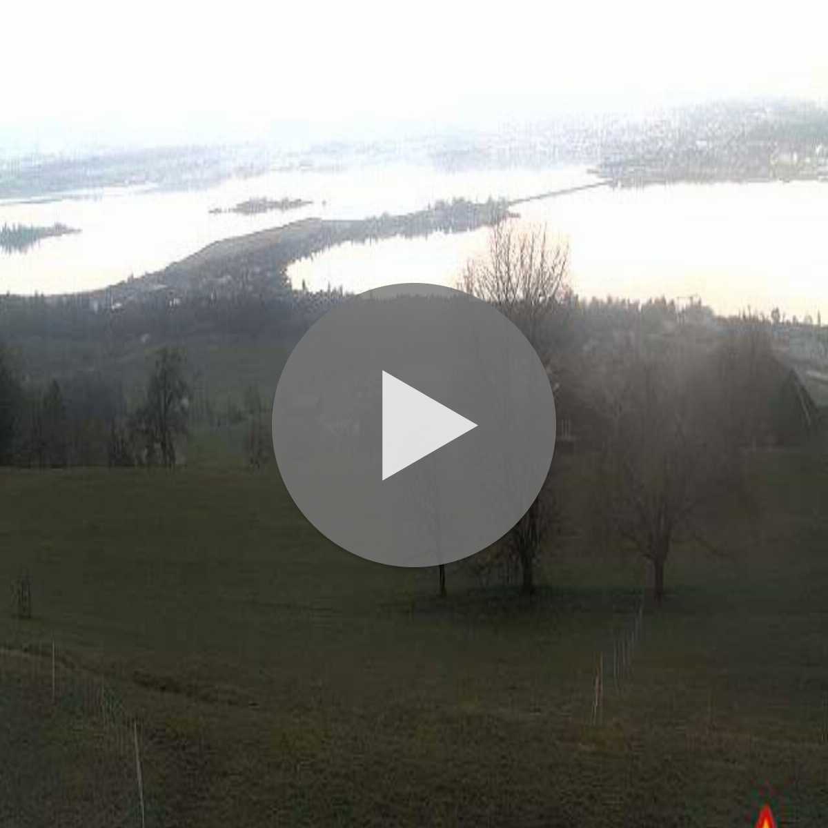 Reppenstedt webcam