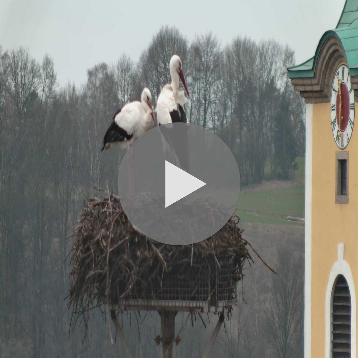 Leidersbach webcam