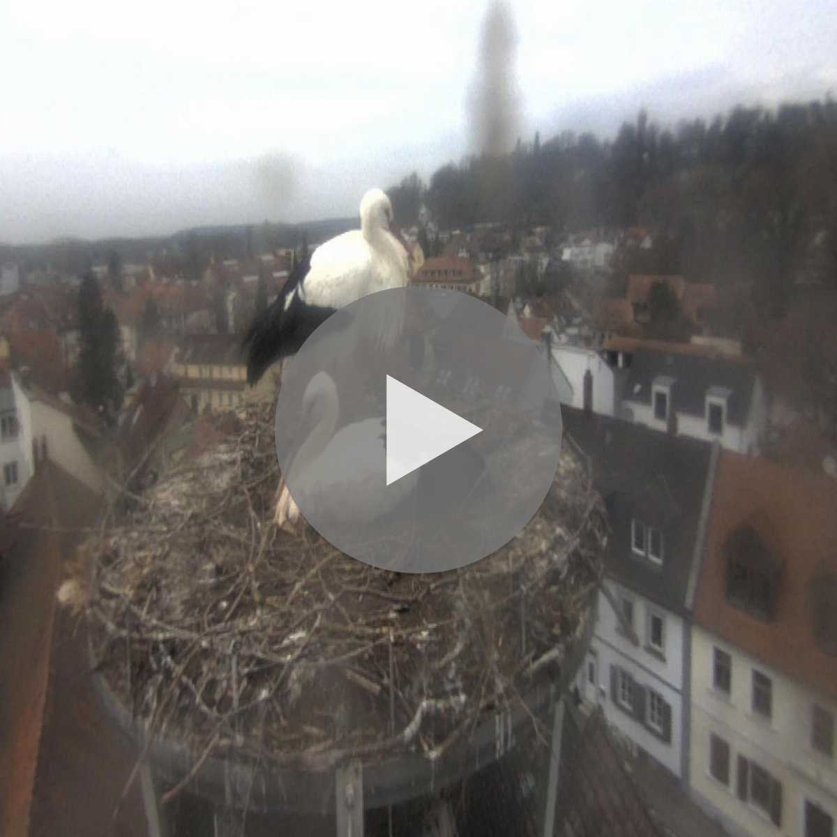 Leidersbach webcam