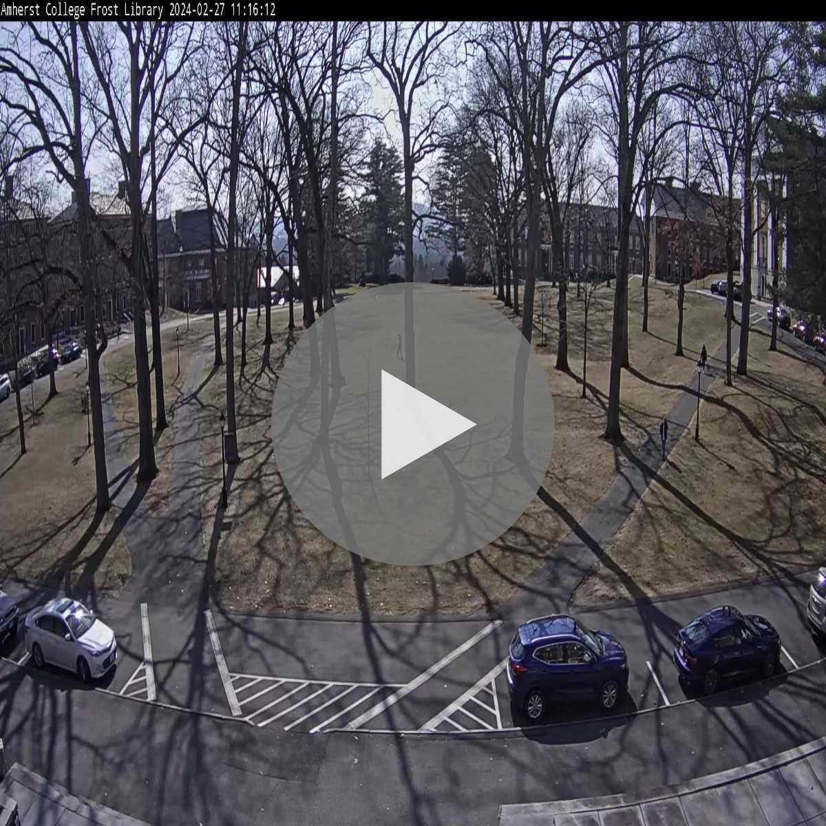 Medfield webcam