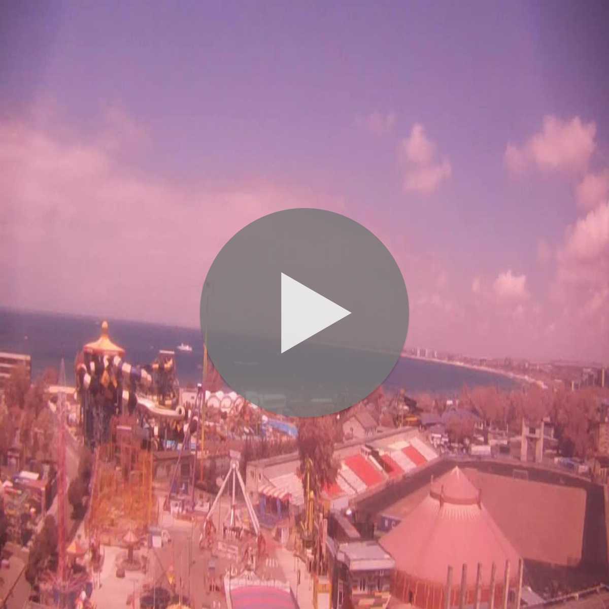 Adler webcam