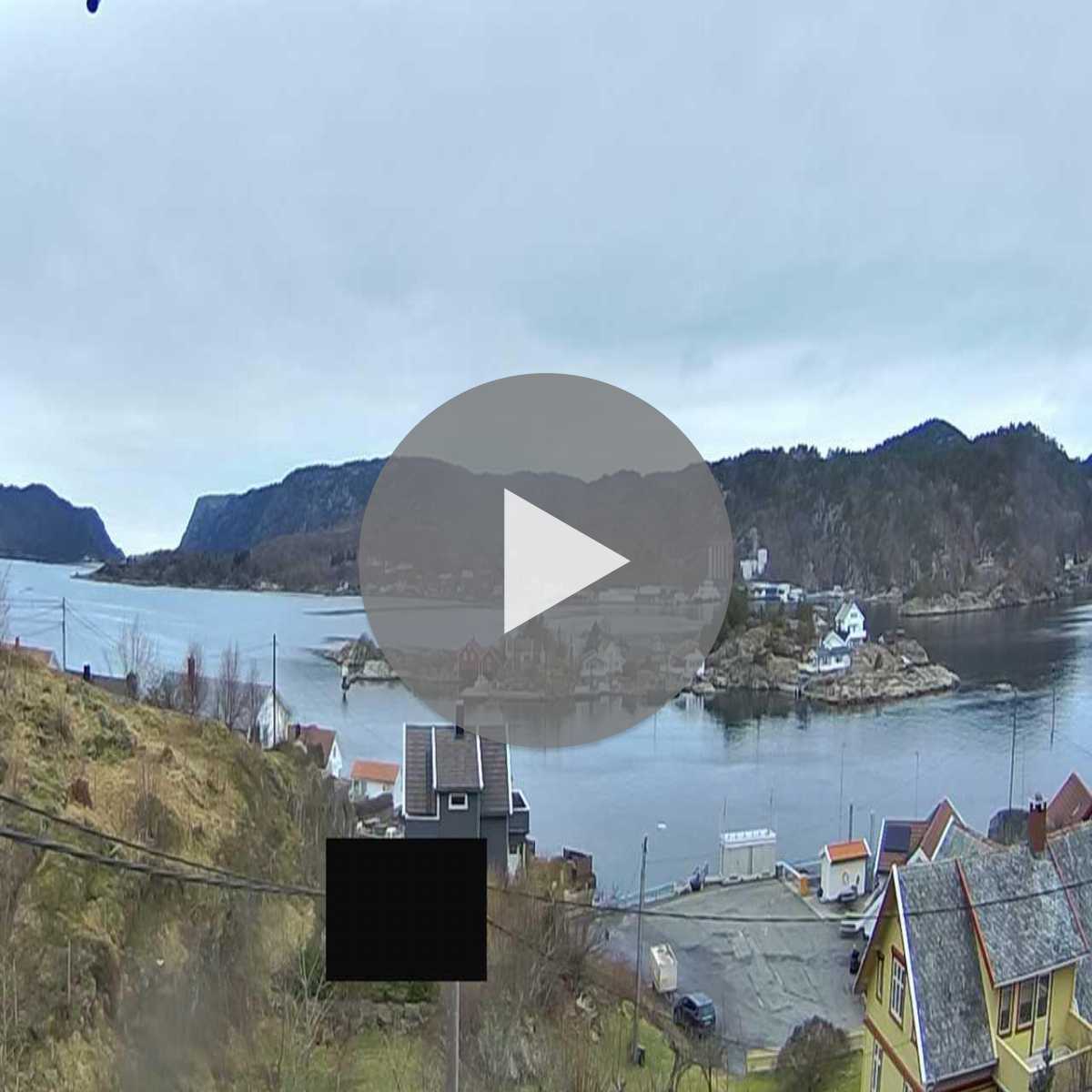 Hovag webcam