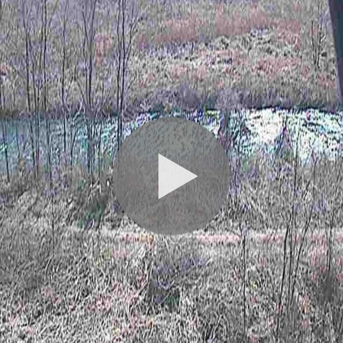 Atsugicho webcam