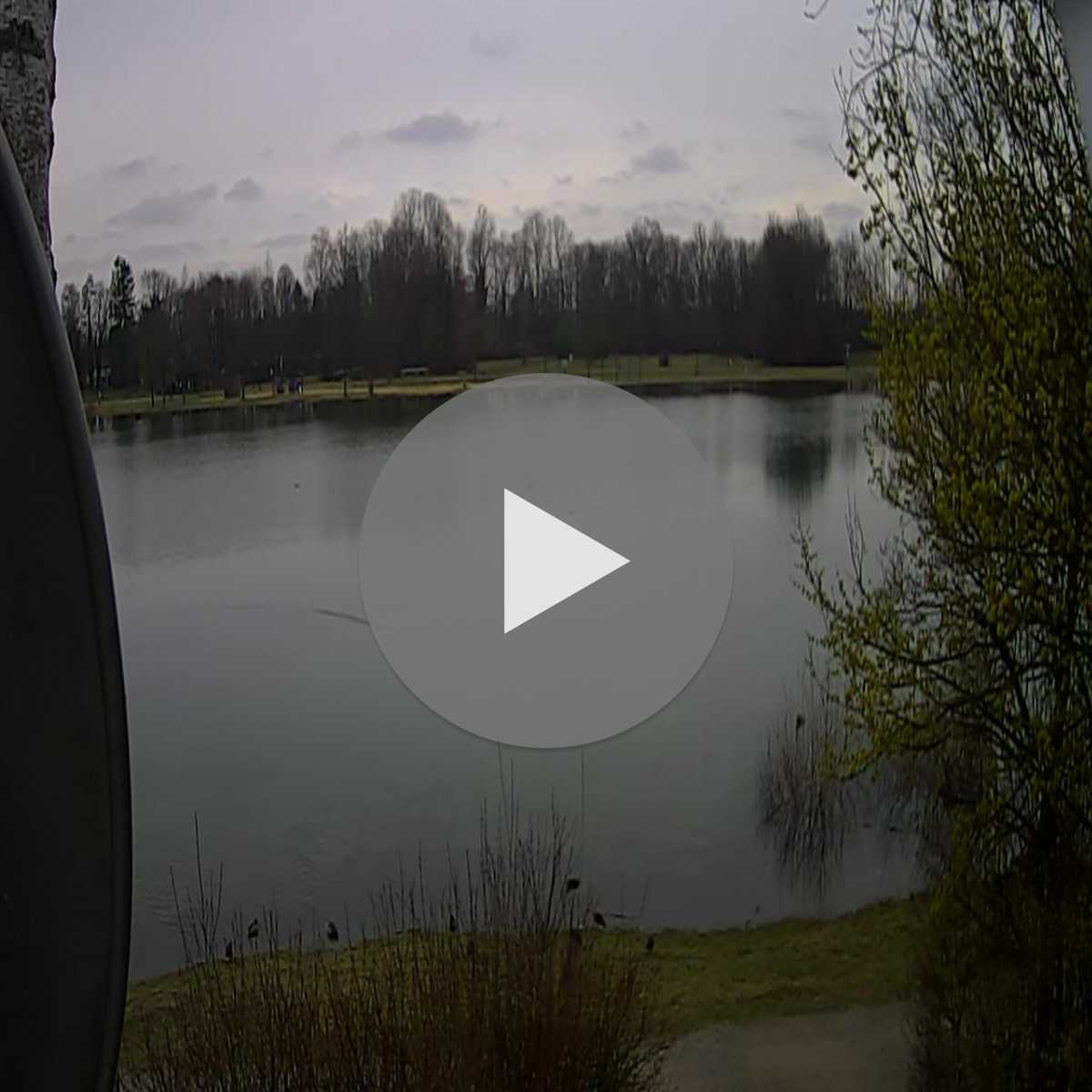 Leidersbach webcam