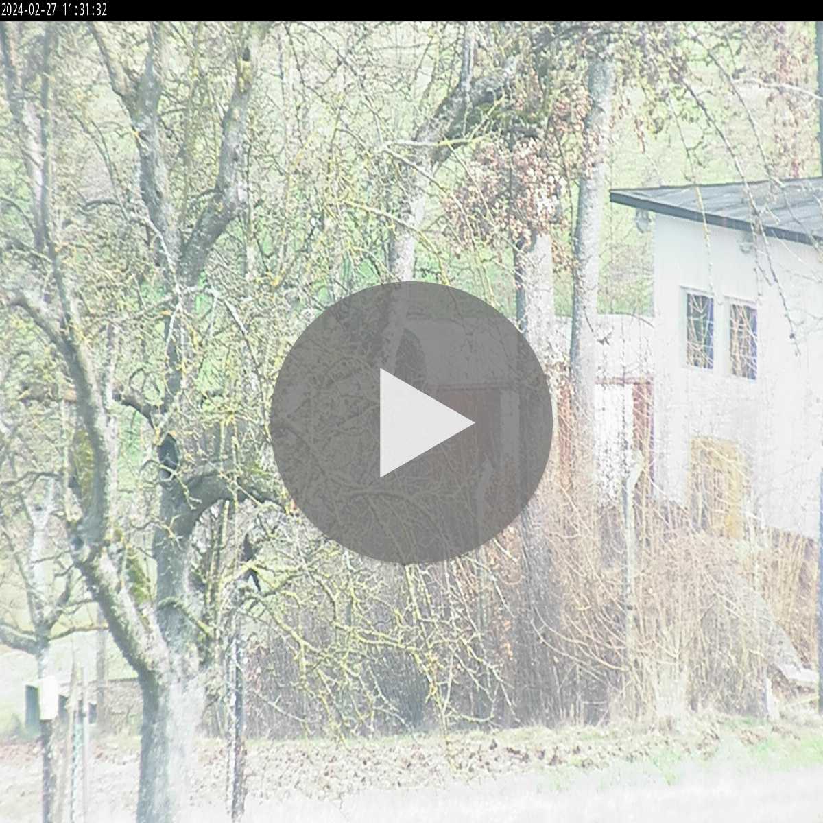 Leidersbach webcam
