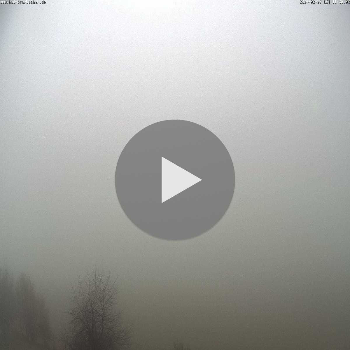 Klingenberg webcam