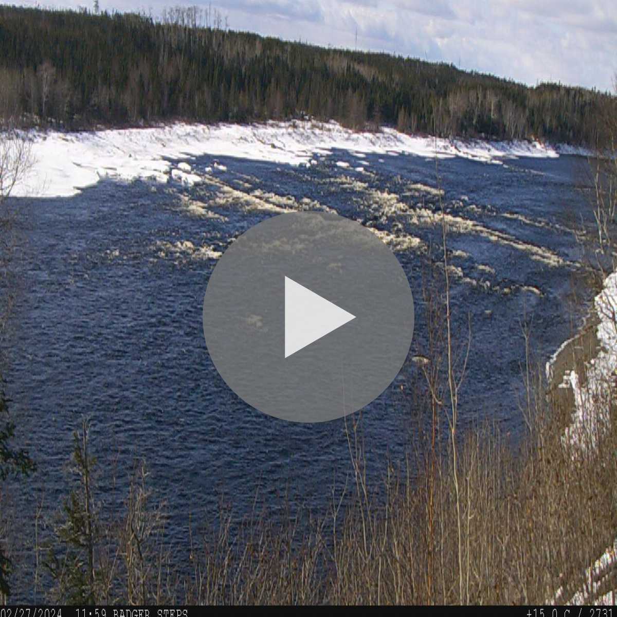 Cartwright webcam