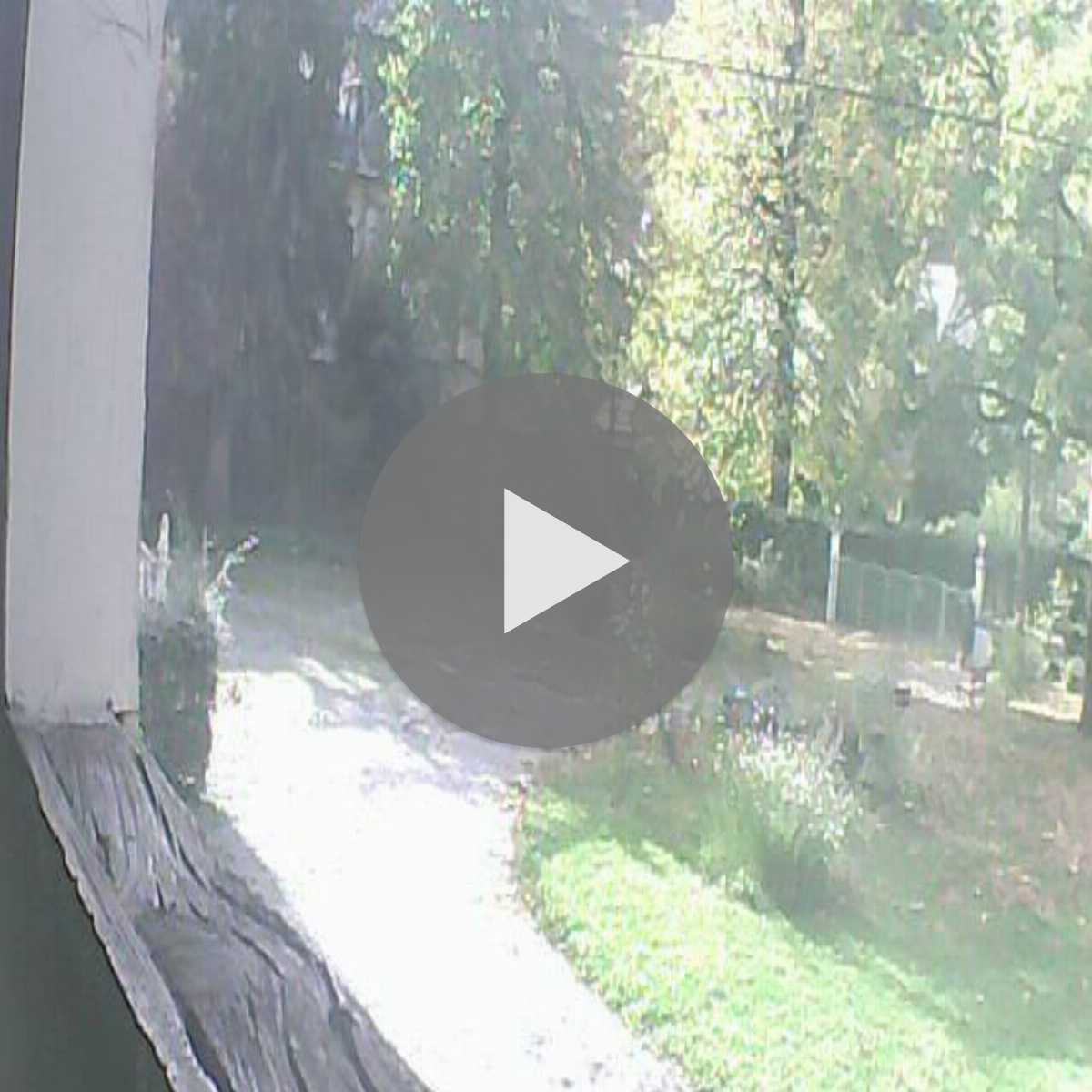 Mauguio webcam