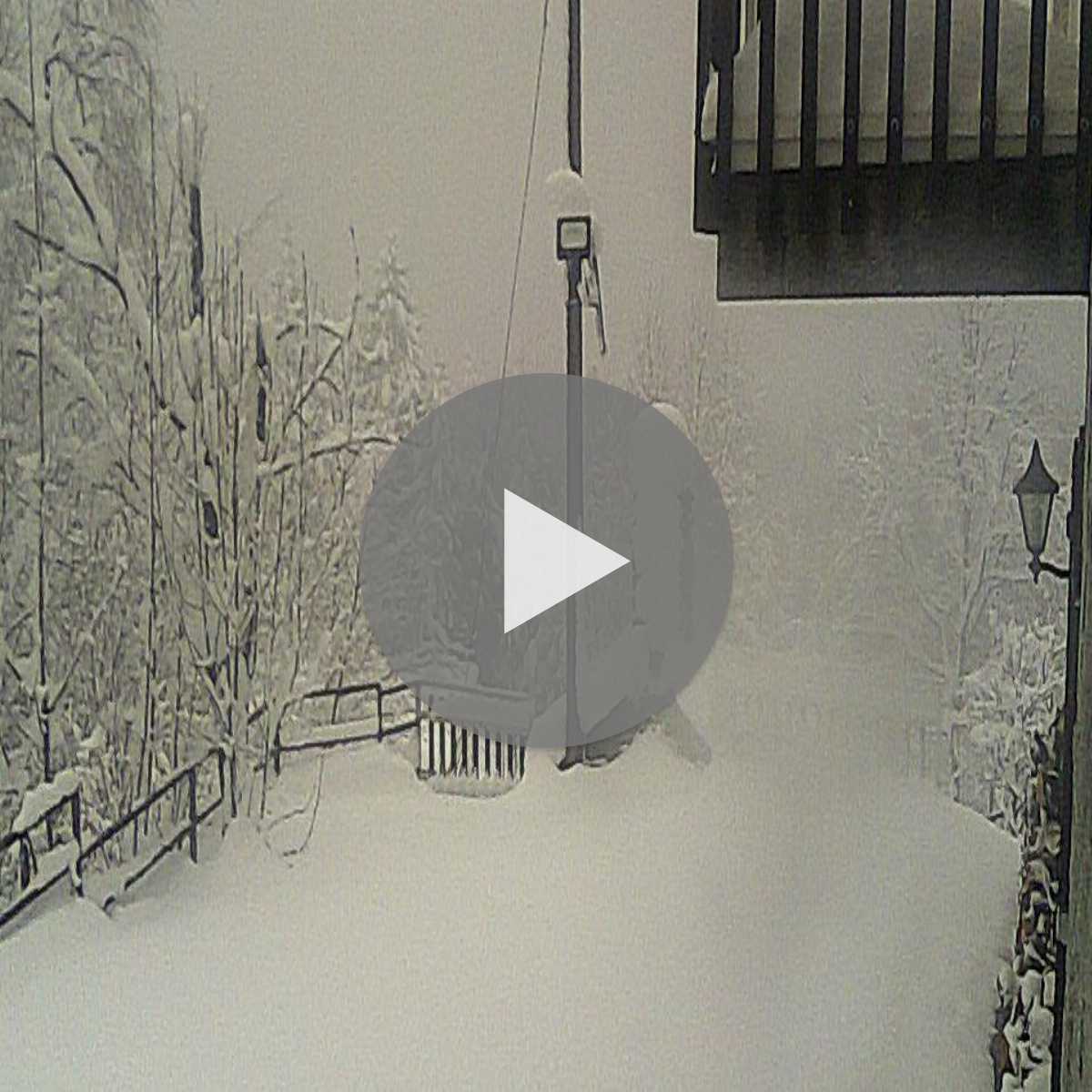 Reppenstedt webcam