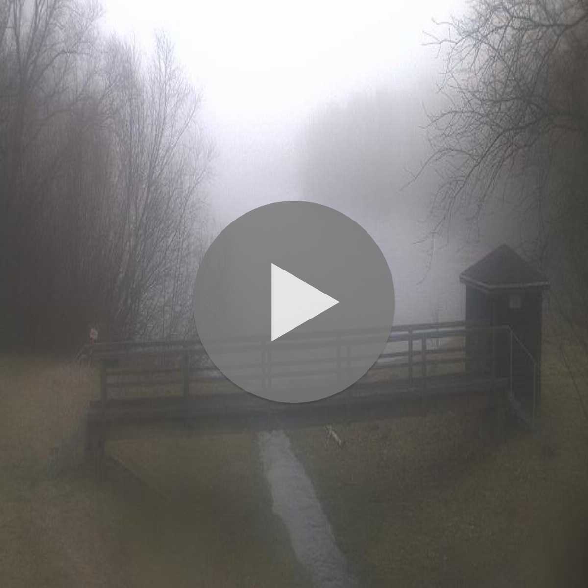 Leidersbach webcam