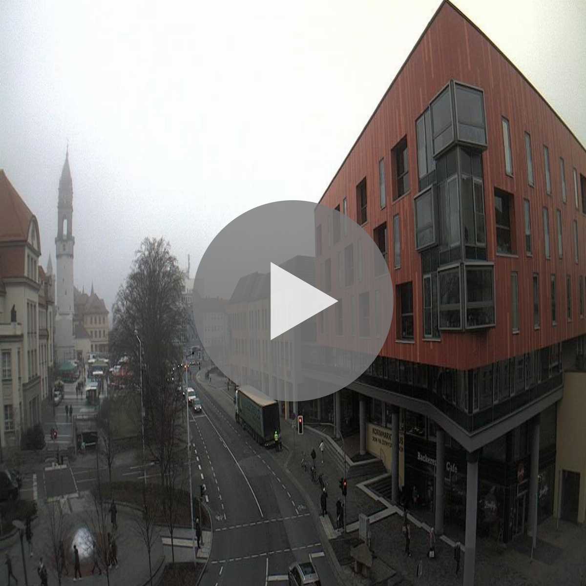 Baschutz webcam