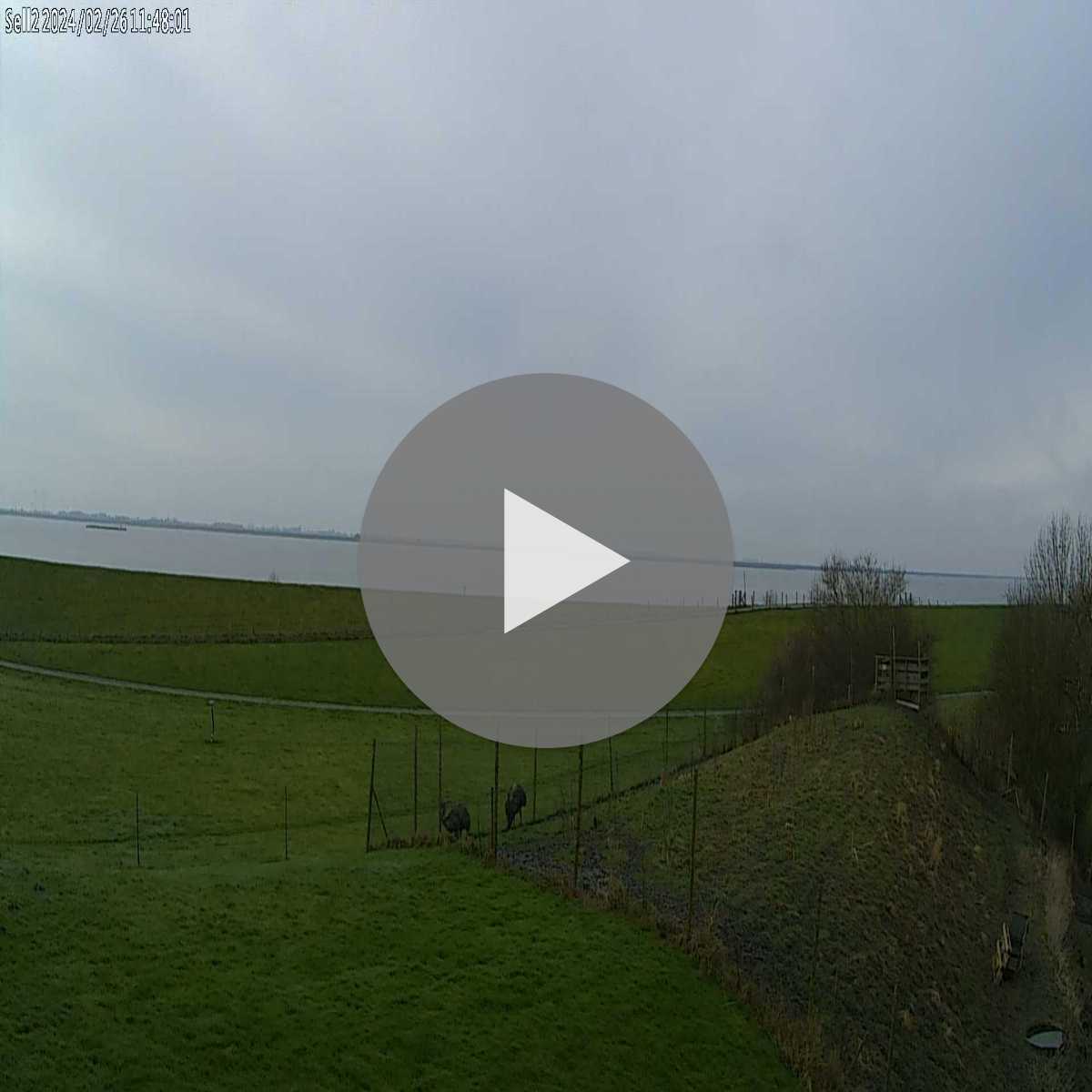 Ahrensburg webcam
