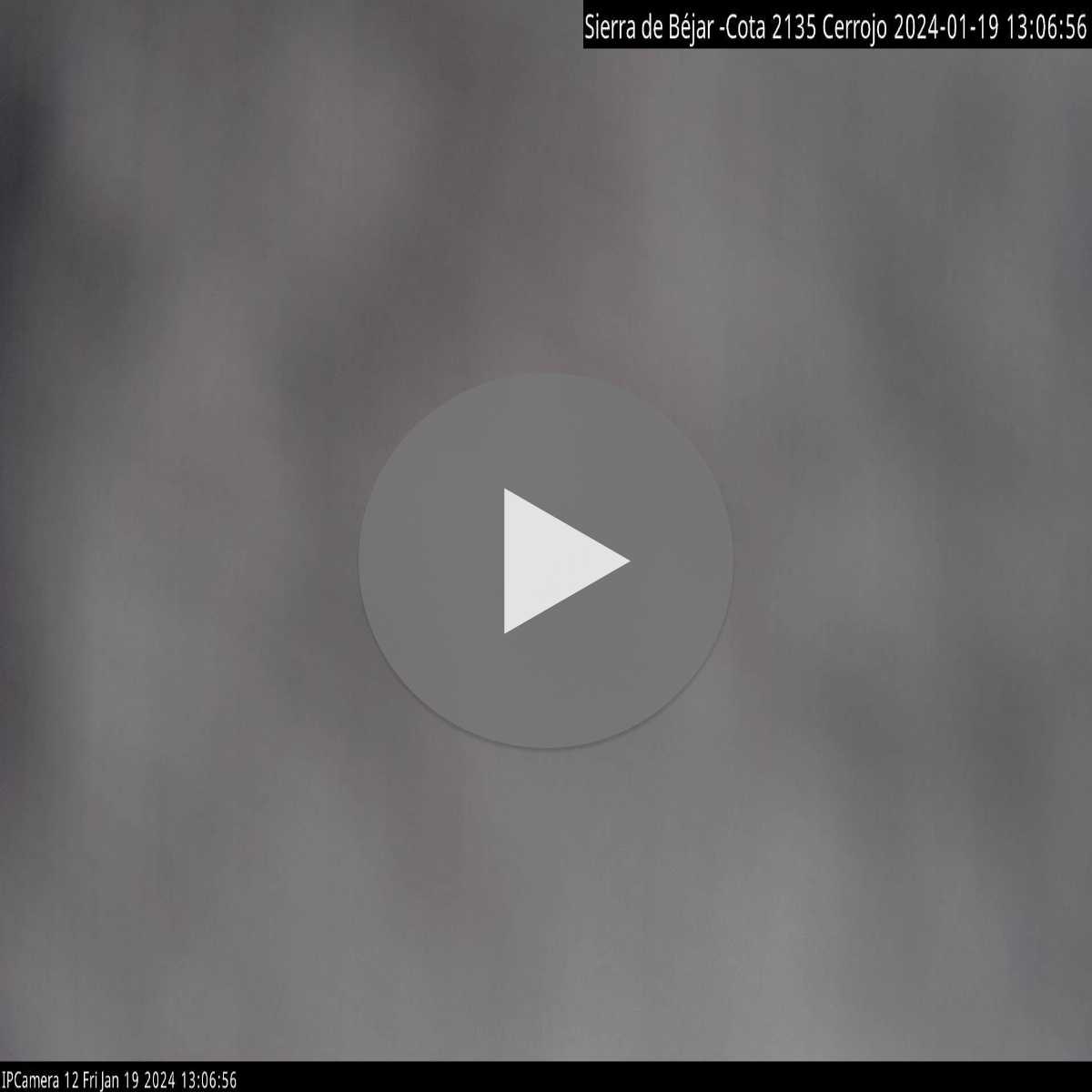 Zaratan webcam