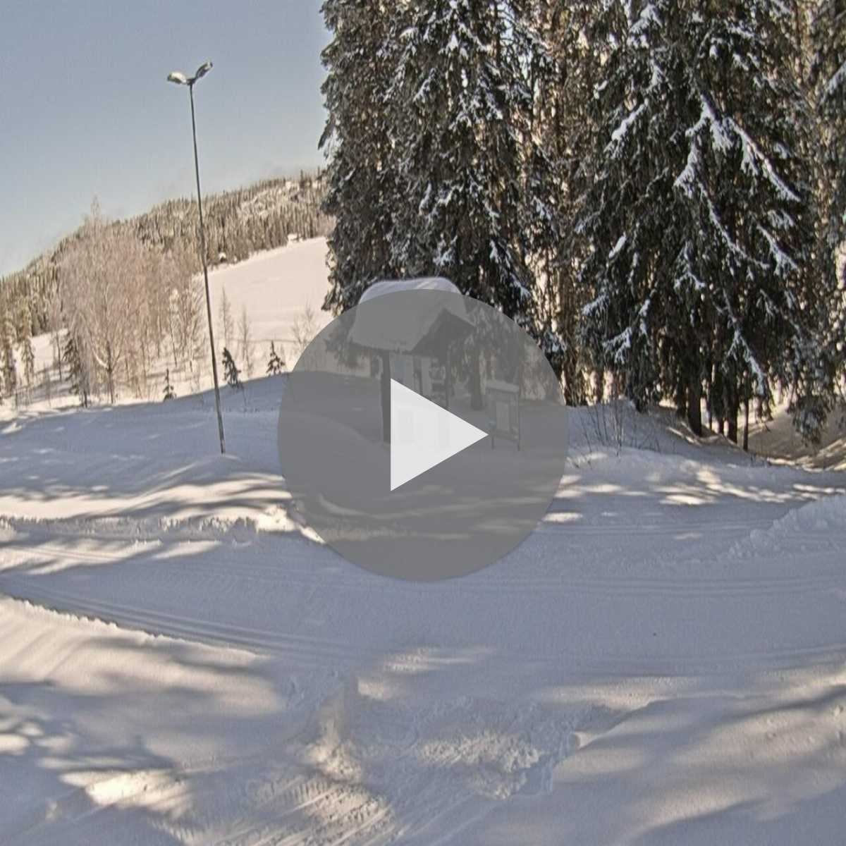 Grotli webcam