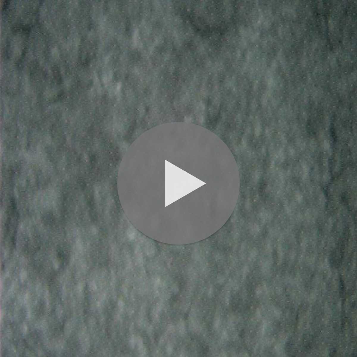 Lacombe webcam