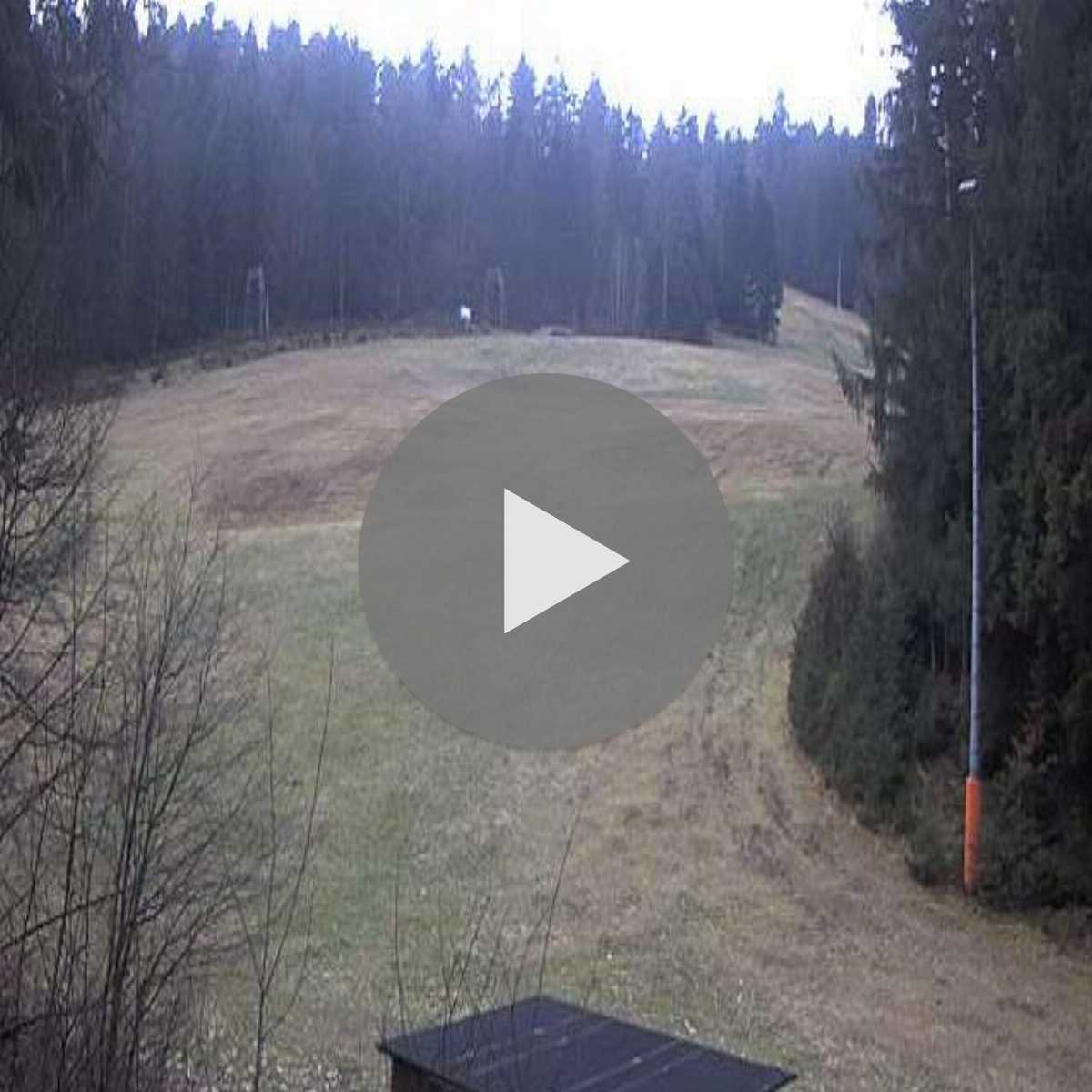 Schallstadt webcam