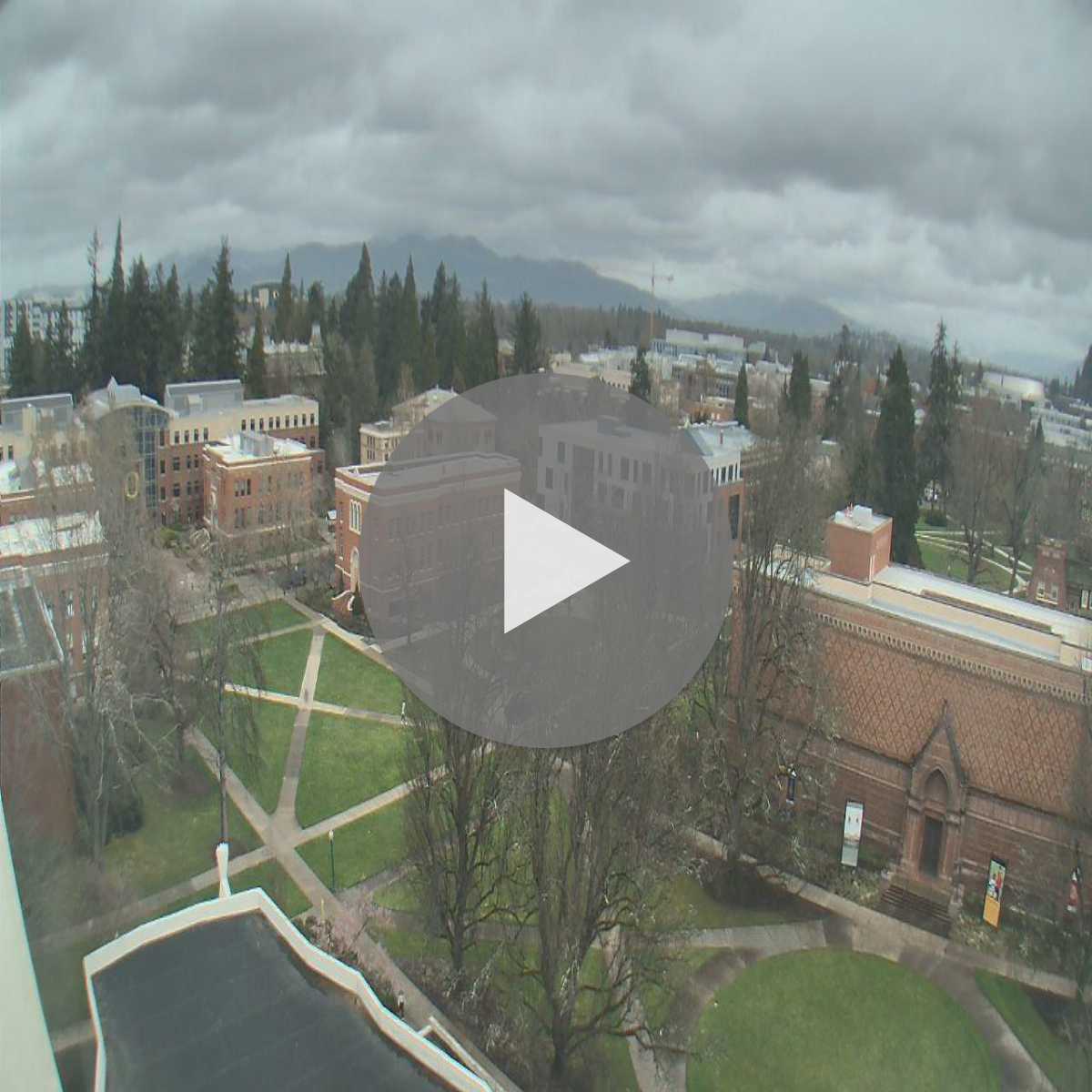 Ontario webcam