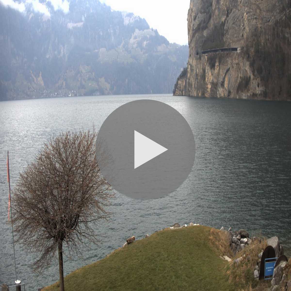 Seelisberg webcam