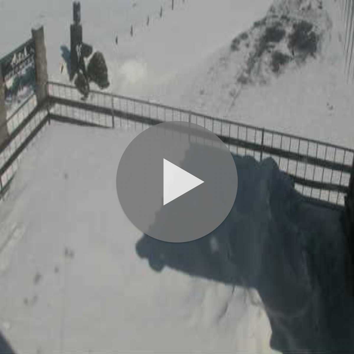 Shari webcam