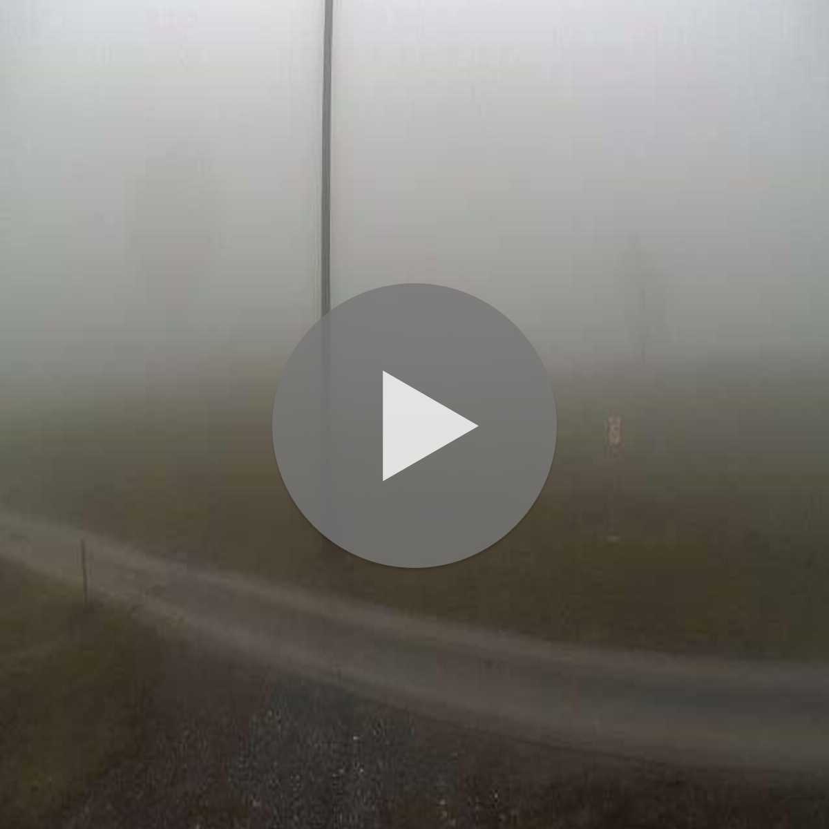 Heiden webcam