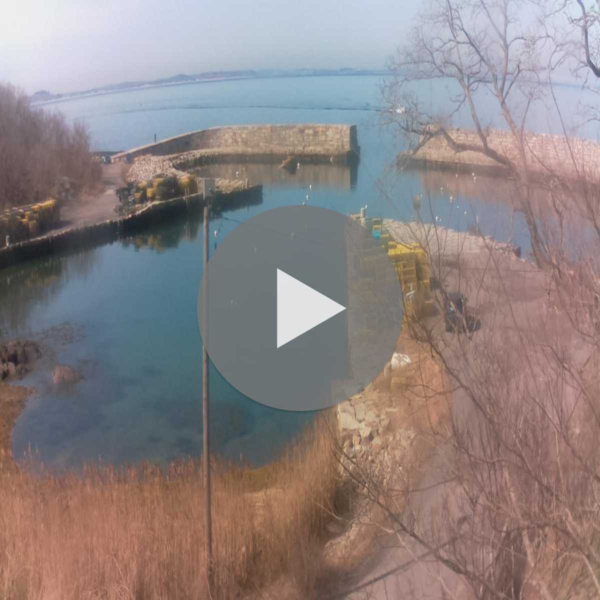 Medfield webcam