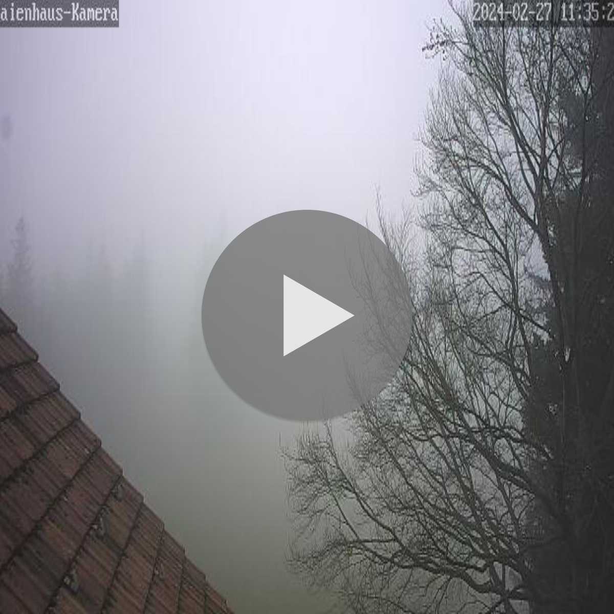 Wildhaus webcam
