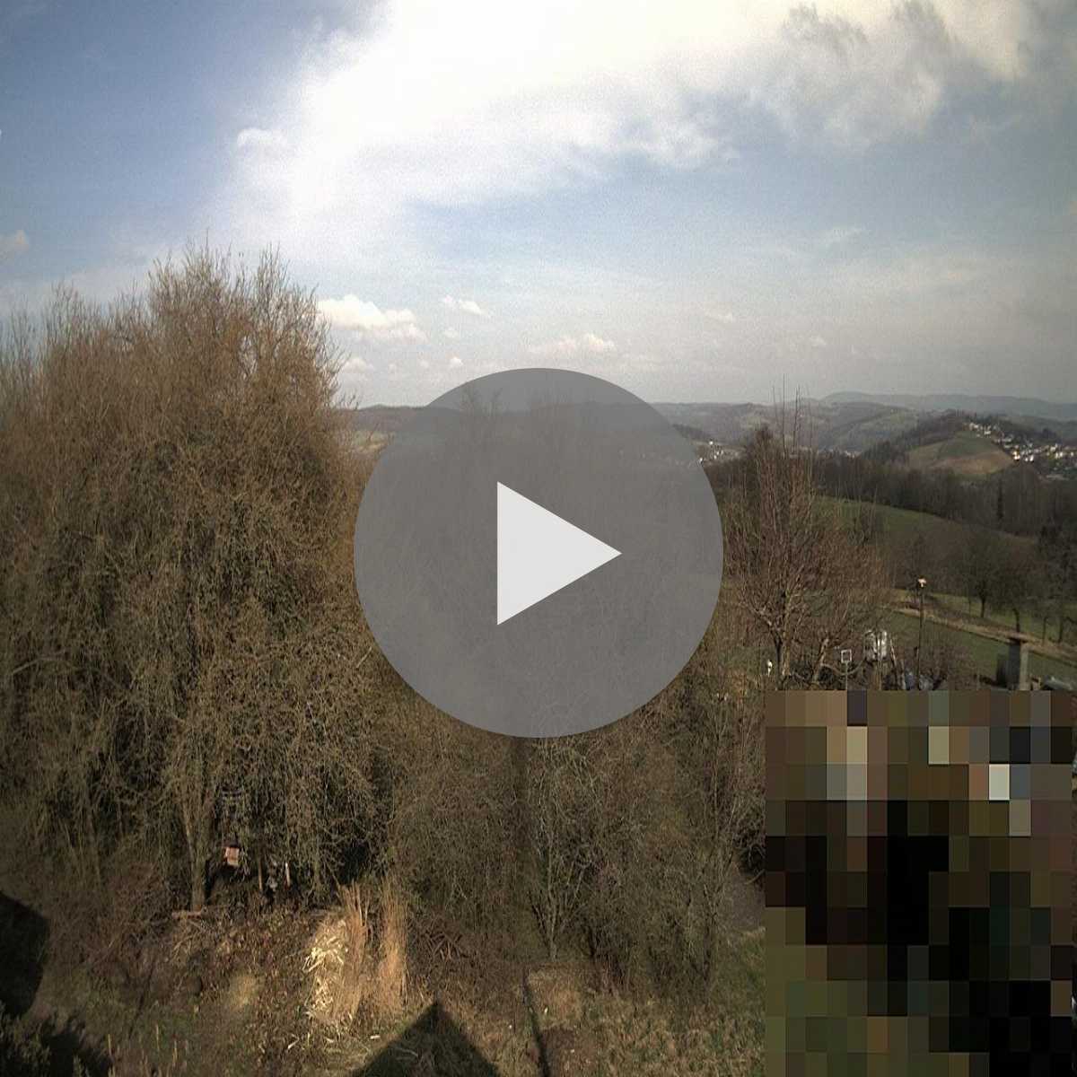 Leidersbach webcam