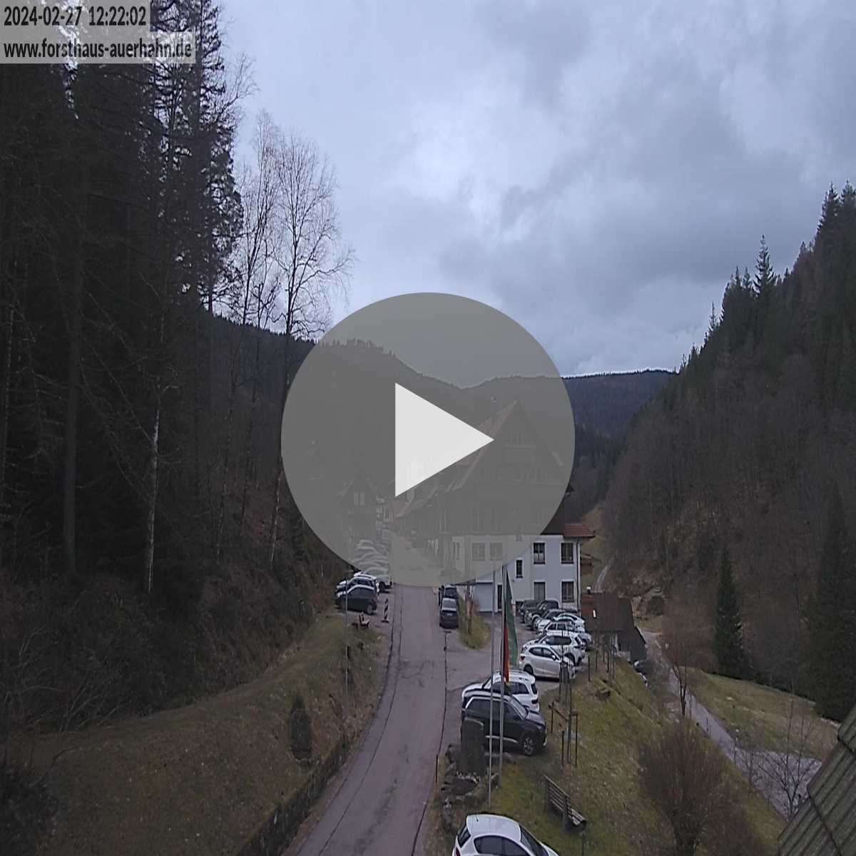Schallstadt webcam