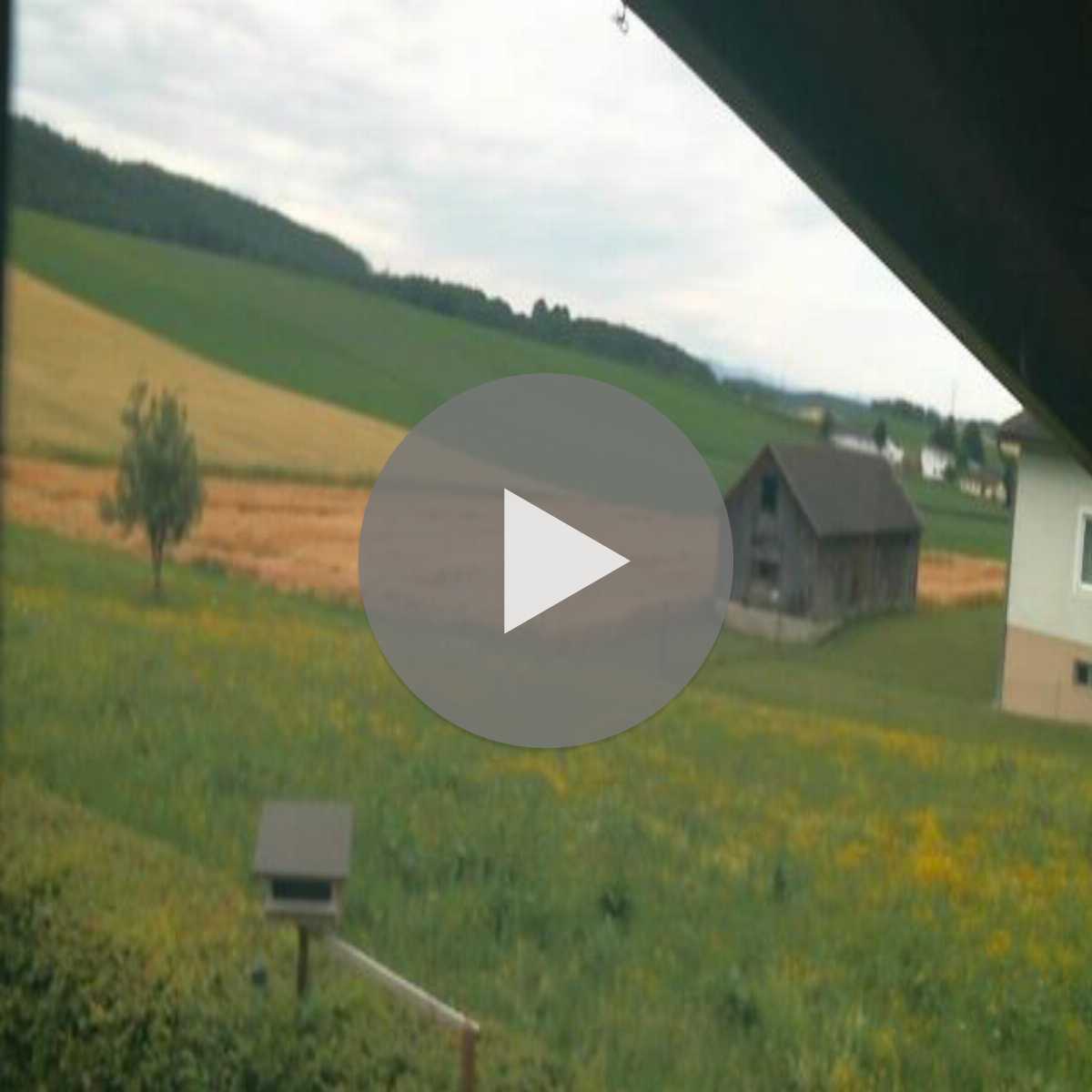 Maria Enzersdorf webcam