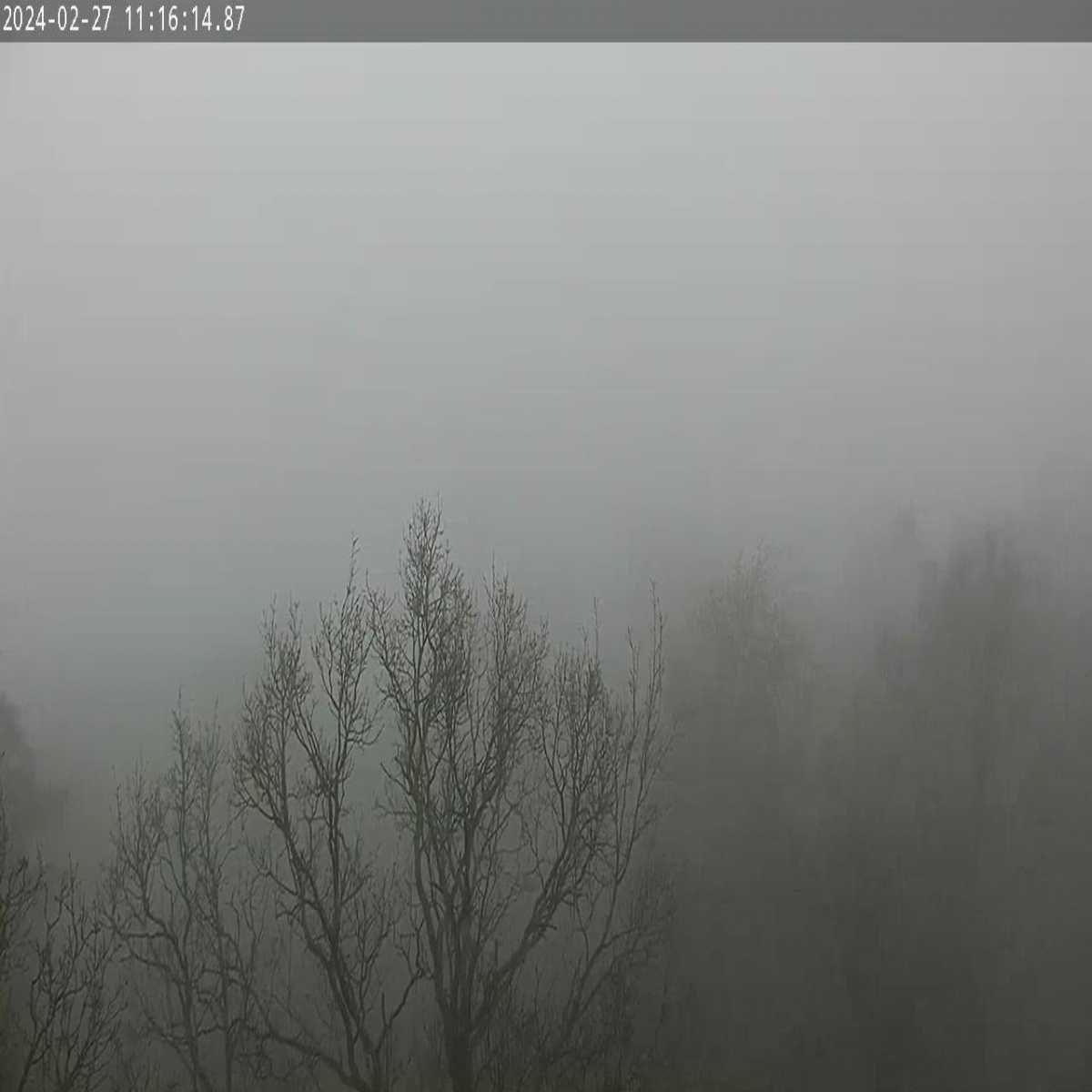 Klingenberg webcam