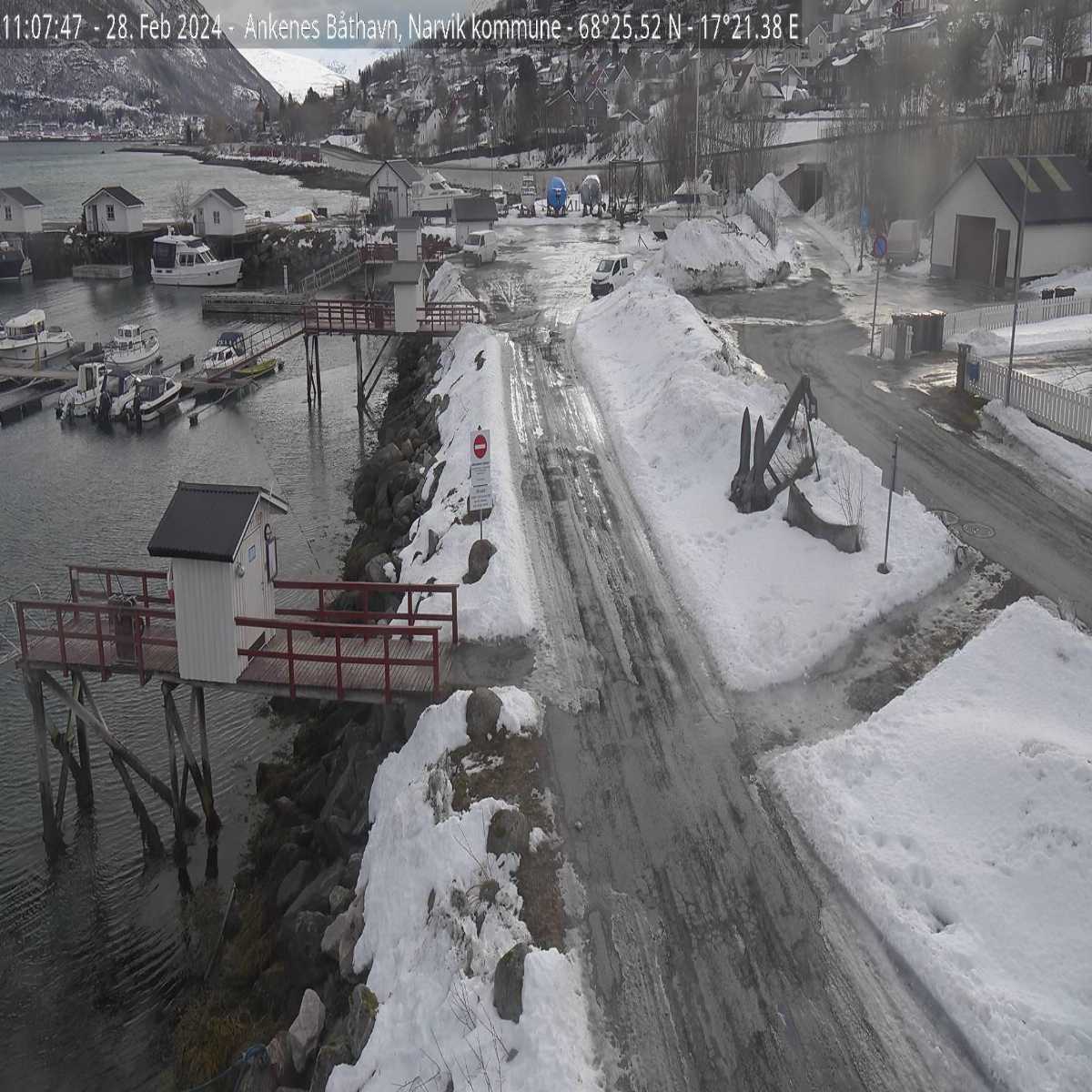 Lovund webcam