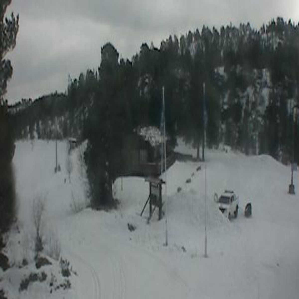 Galaen webcam
