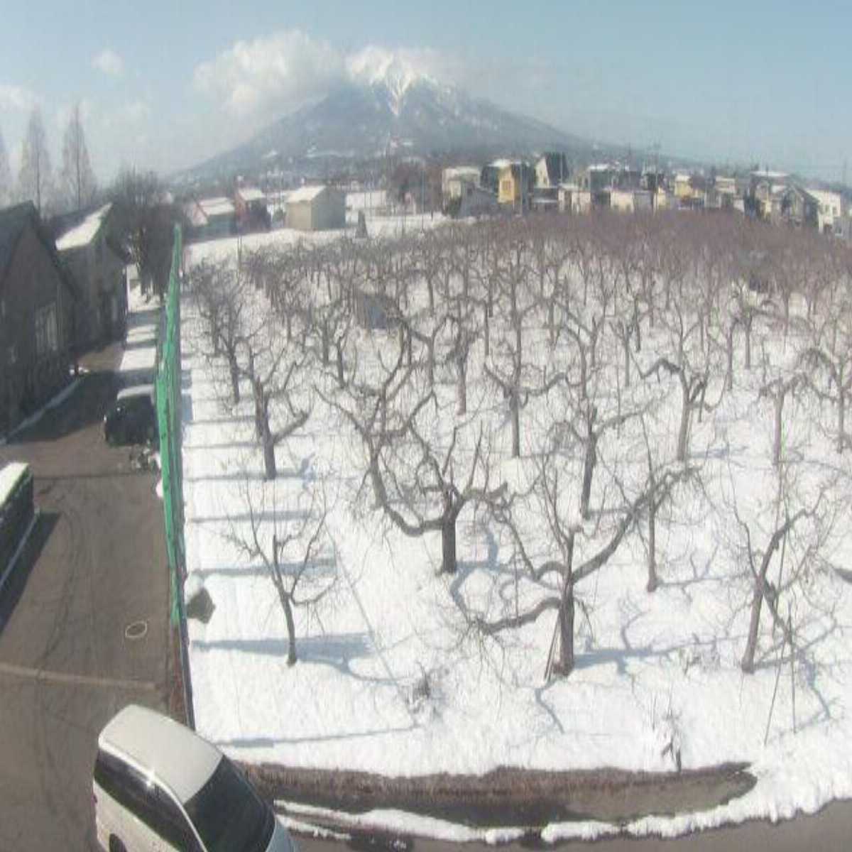 Nambu webcam