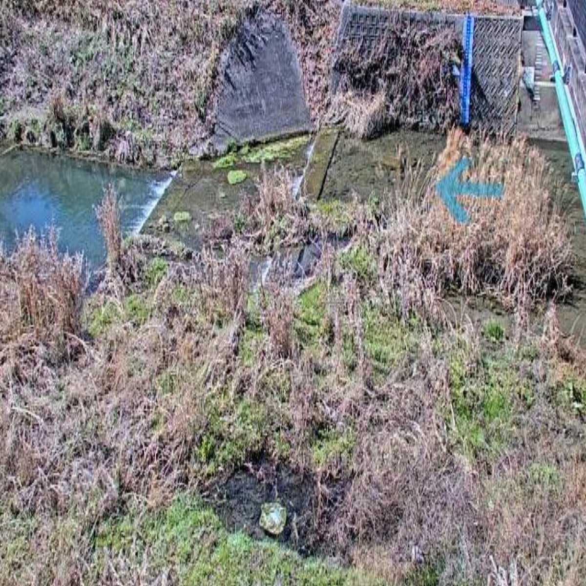 Fujinomiya webcam