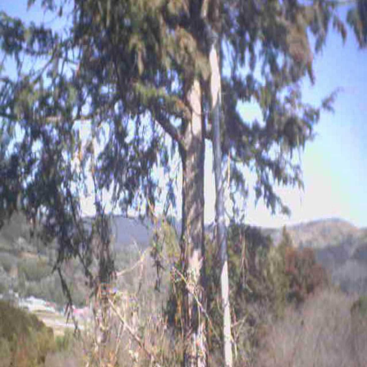 Fujinomiya webcam