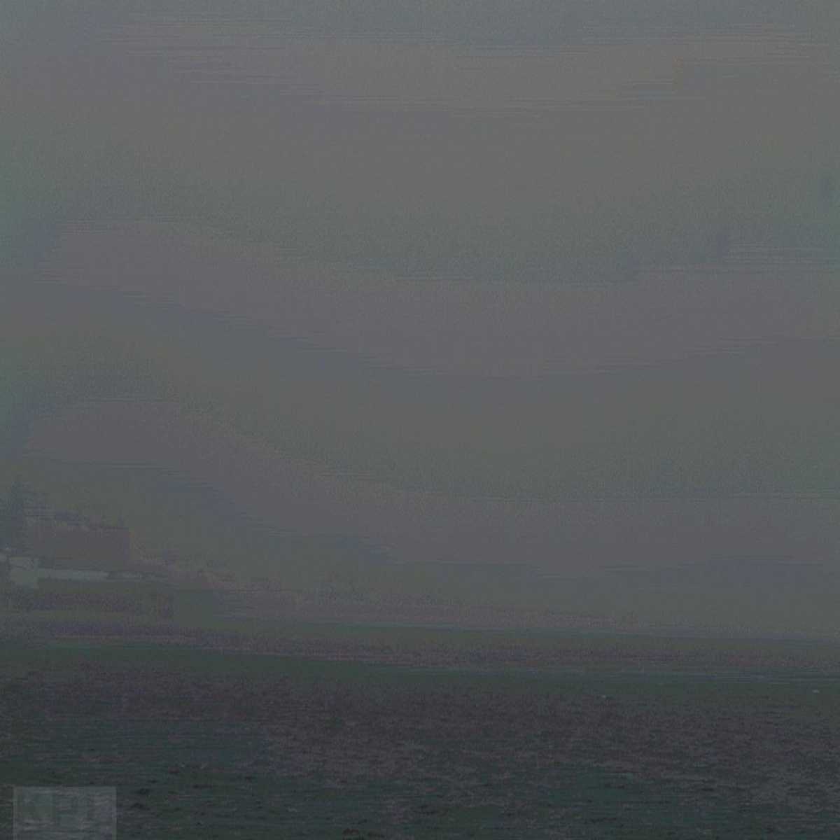 Homer webcam