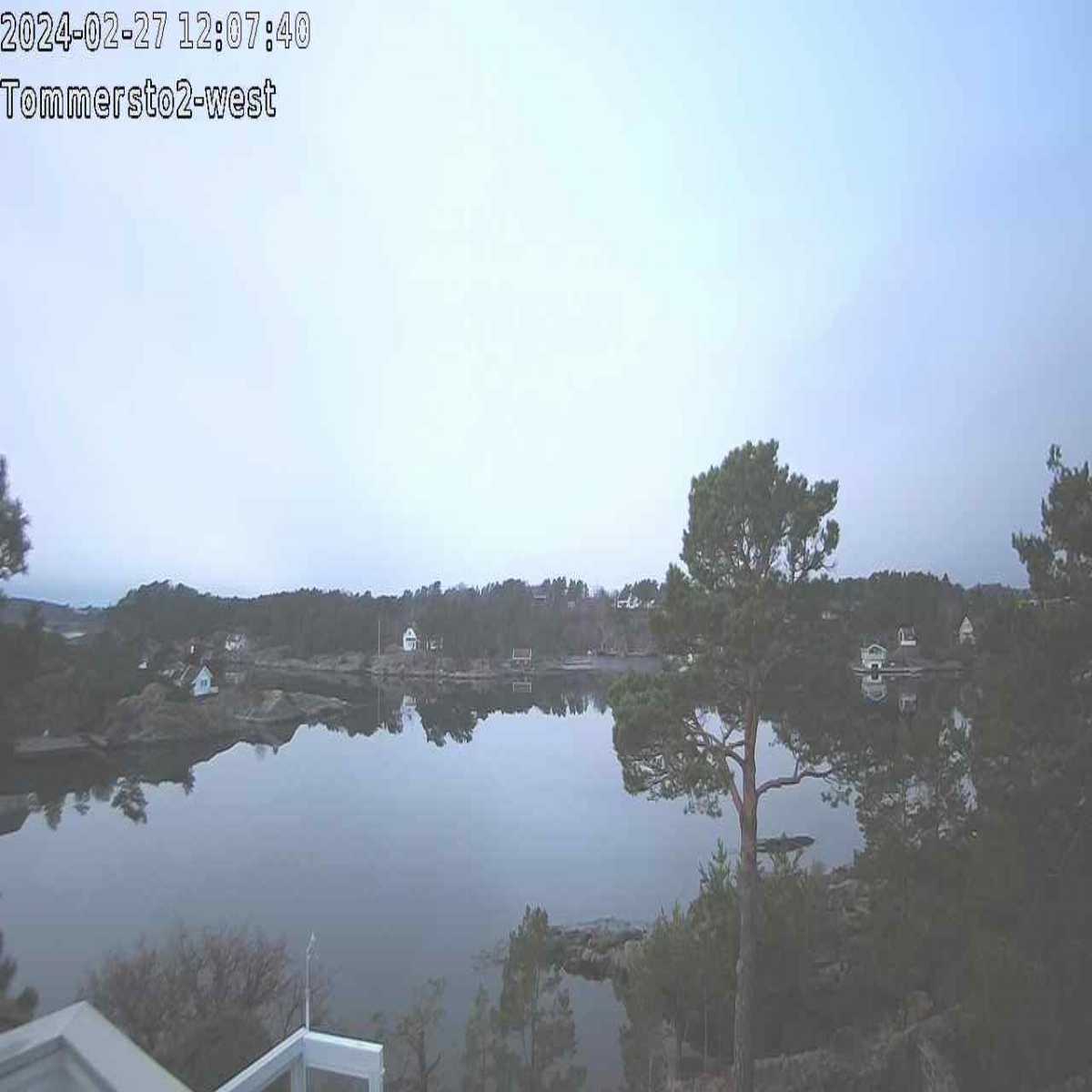 Kosvik webcam