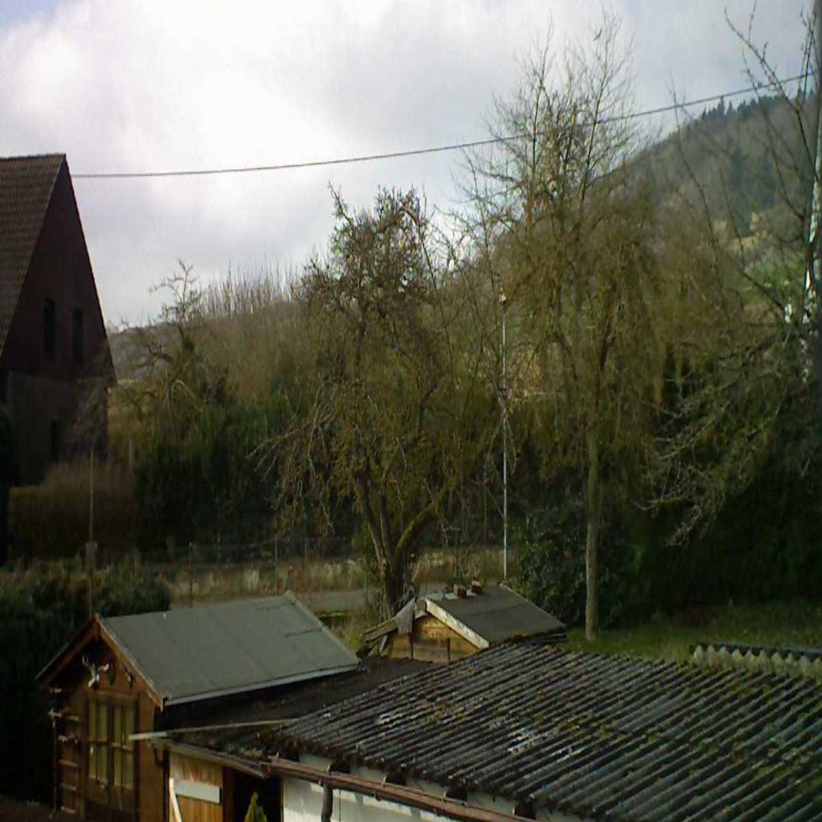 Bellheim webcam