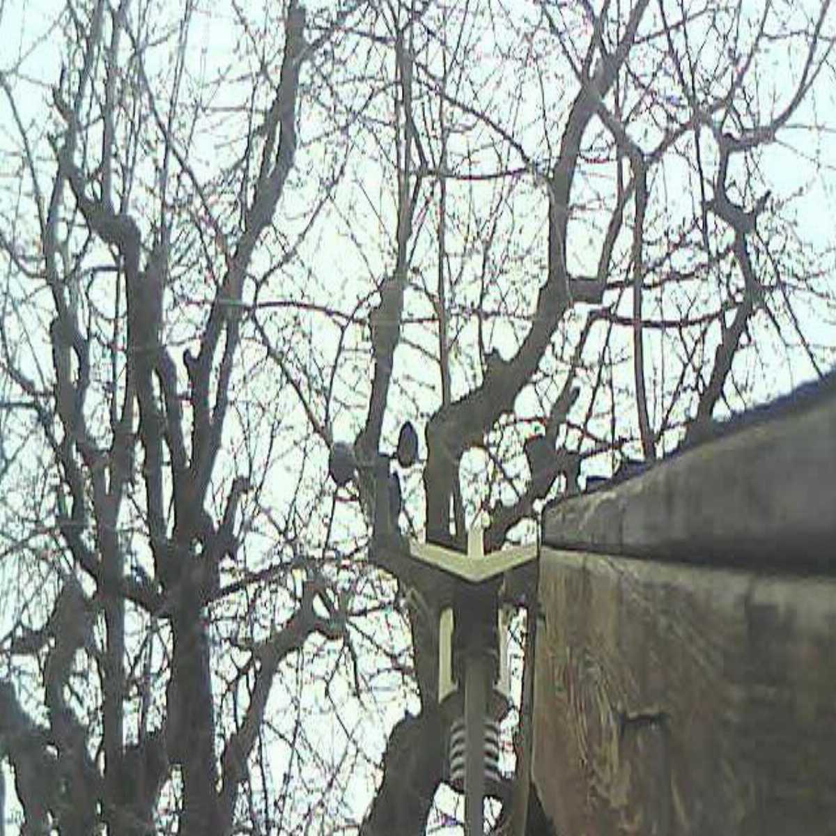 Leidersbach webcam