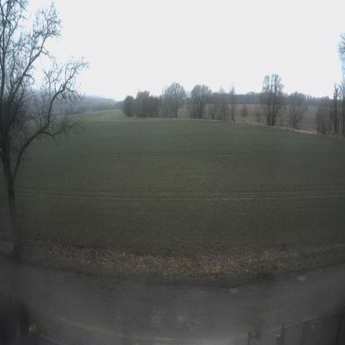 Baschutz webcam