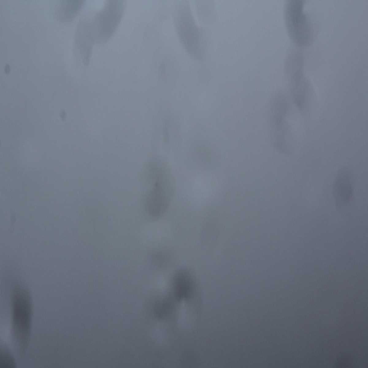 Klingenberg webcam