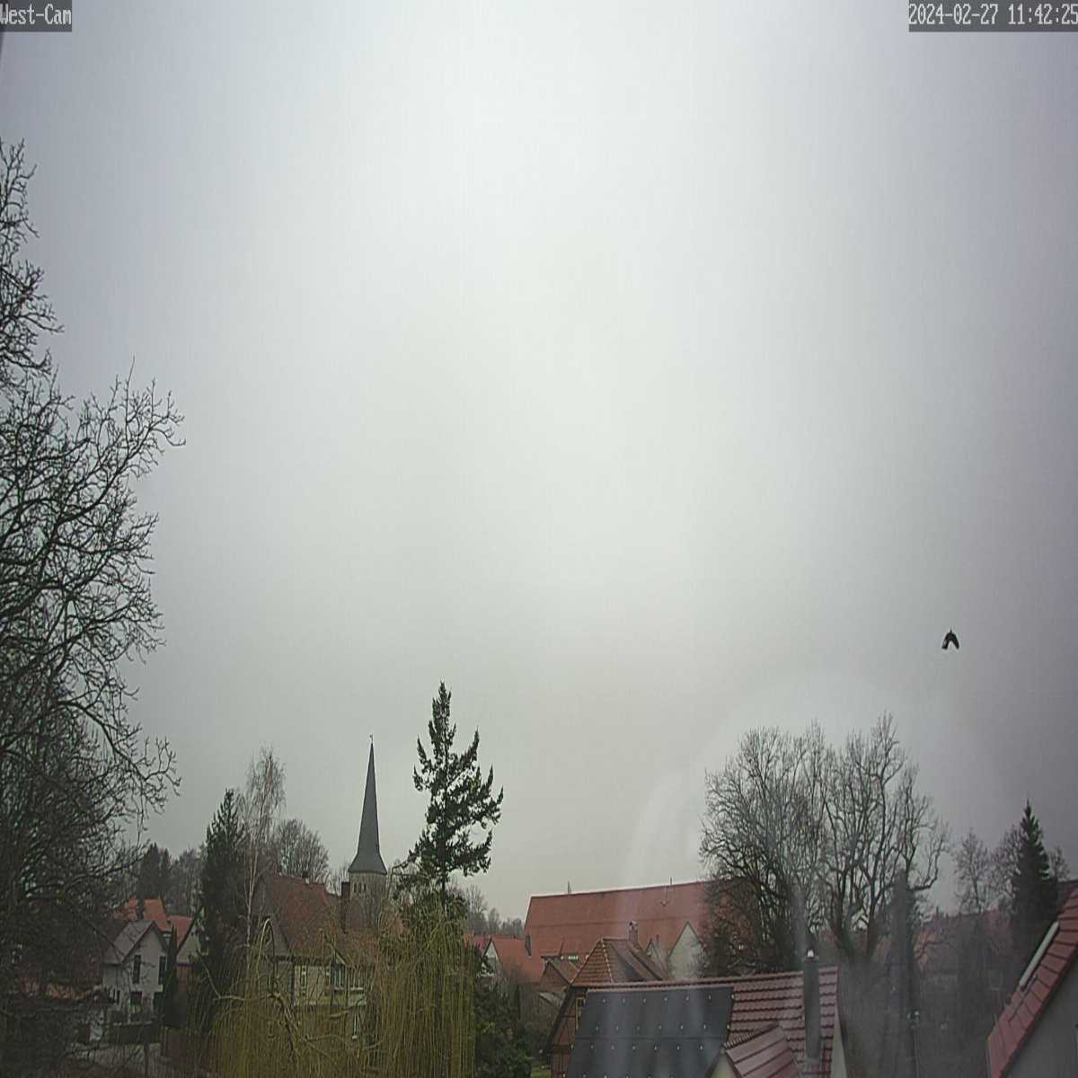 Glaucha webcam