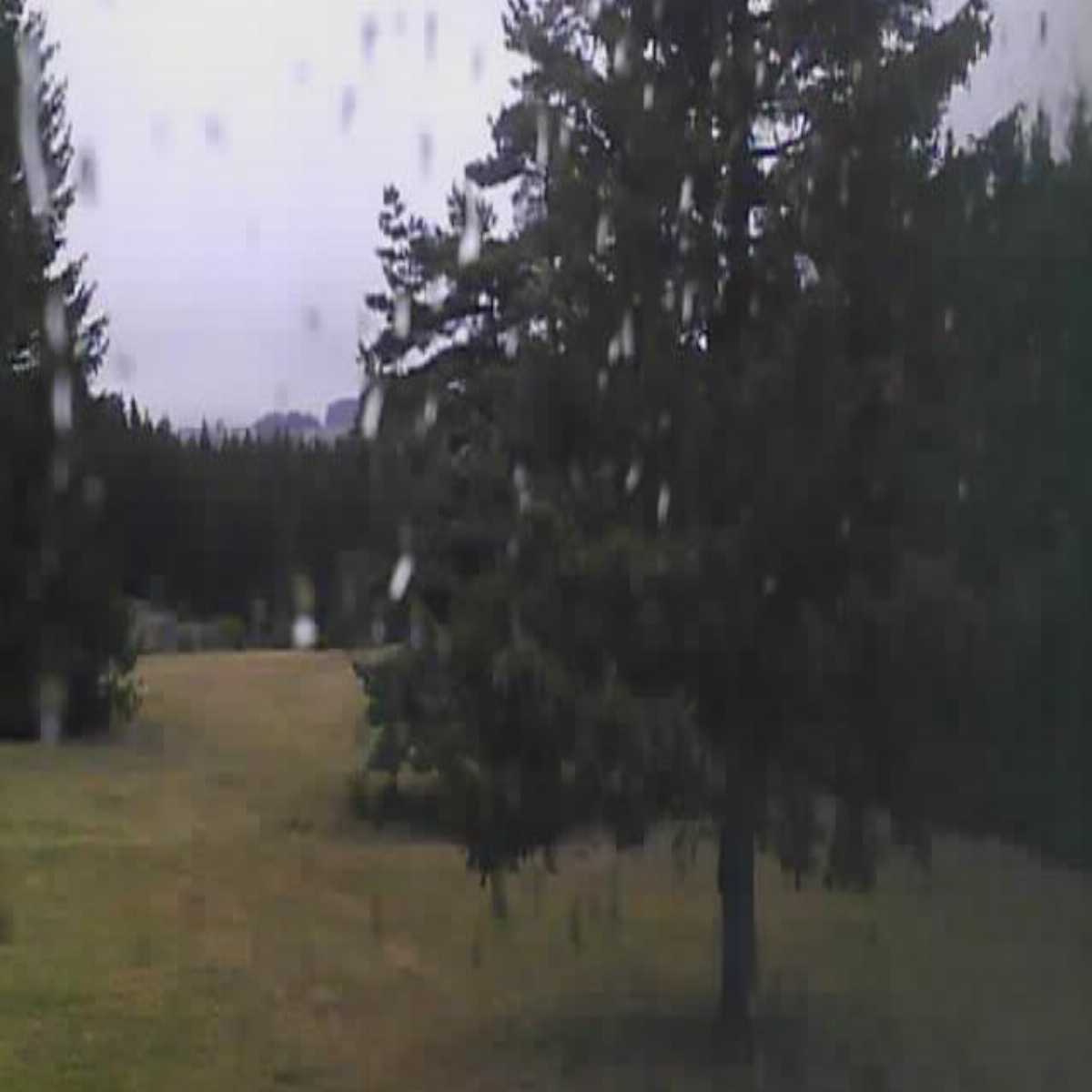 Mauguio webcam