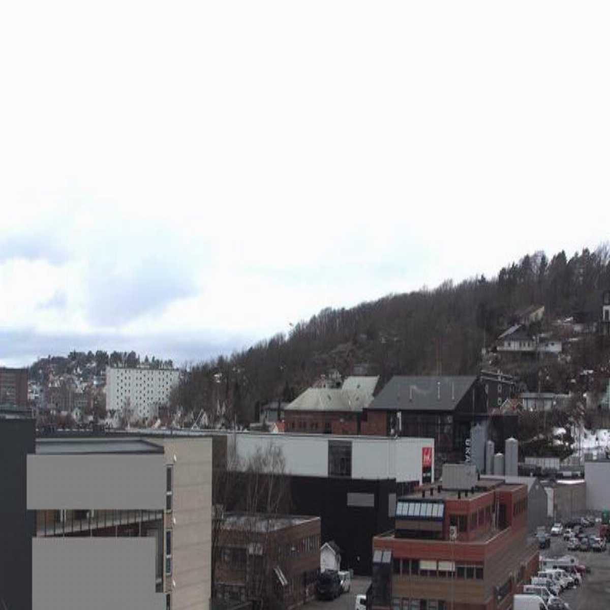 Rudsgrendi webcam