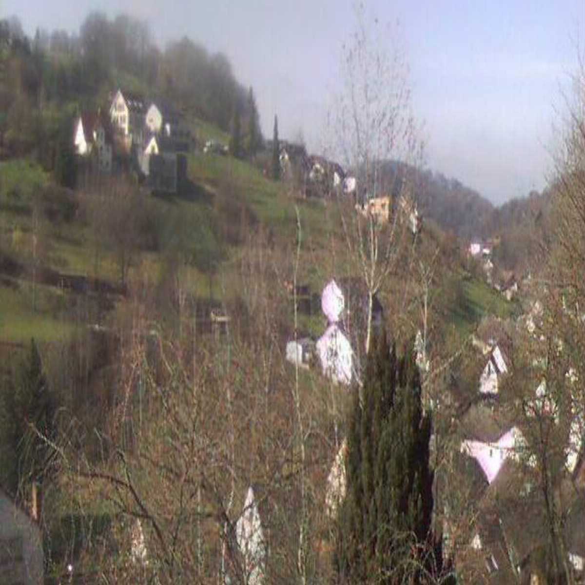 Leidersbach webcam
