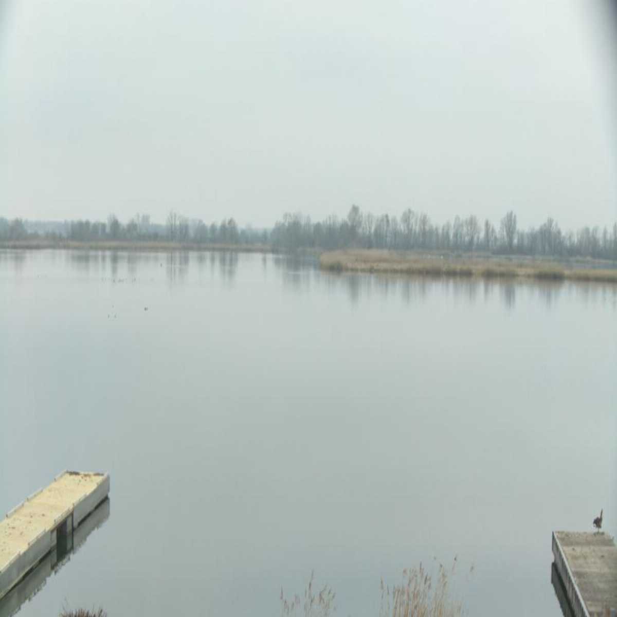 Leidersbach webcam